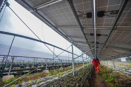中國十三省最大光伏電站在這里！欽州康熙嶺的光伏電站能排上號了嗎？